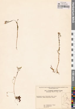 MAG 0017692