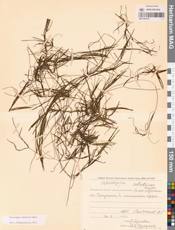 MAG 0021757