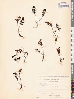 MAG 0021678
