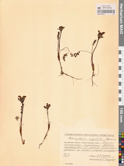 MAG 0021643