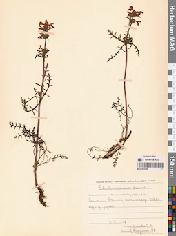 MAG 0020280