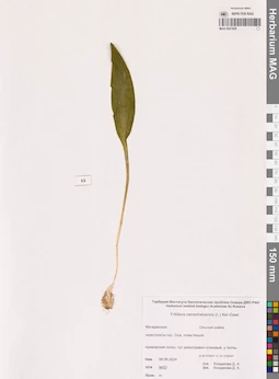 MAG 0021829