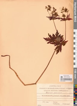 MAG 0022046