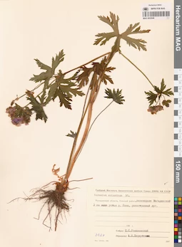 MAG 0022048