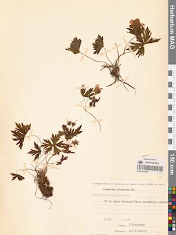 MAG 0022092