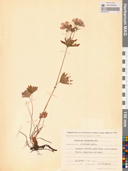 MAG 0022134
