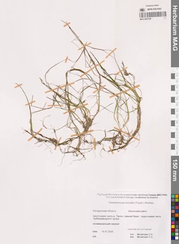 MAG 0022198