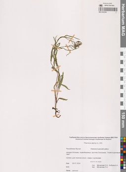 MAG 0022244