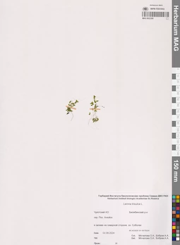 MAG 0022285