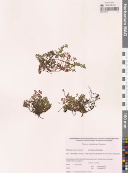 MAG 0022147