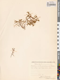 MAG 0022414