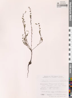 MAG 0022421