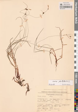 MAG 0022534