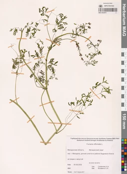 MAG 0022875