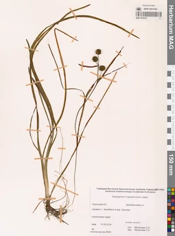 MAG 0022618
