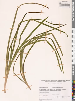 MAG 0022629