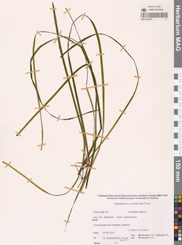 MAG 0022643