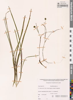 MAG 0022654