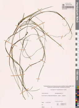 MAG 0022659
