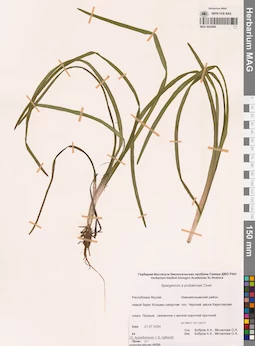 MAG 0022664