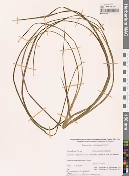 MAG 0022676