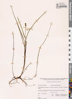 MAG 0022684