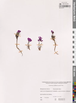 MAG 0022708