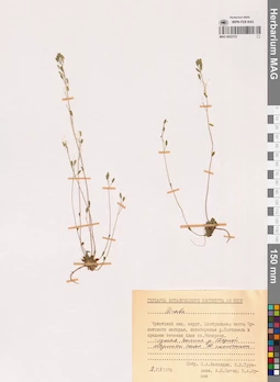 MAG 0022723