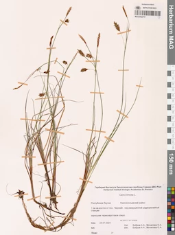 MAG 0022751