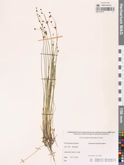 MAG 0022754