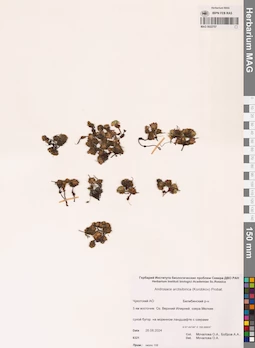 MAG 0022757