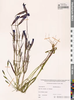 MAG 0022764