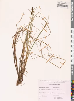MAG 0022787