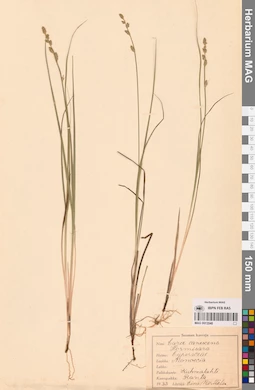 MAG 0013548