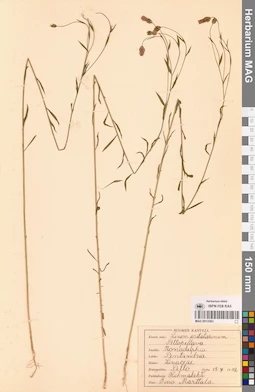 MAG 0013563