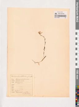 MAG 0013860