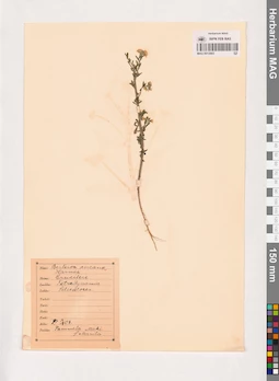 MAG 0013865