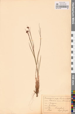 MAG 0014346