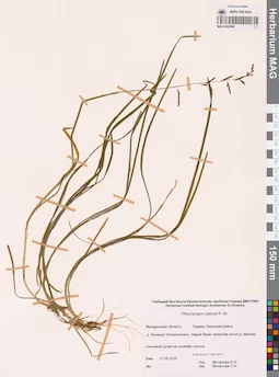 MAG 0022898