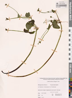 MAG 0022902