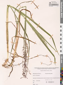 MAG 0022820