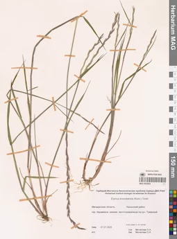 MAG 0022824