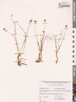 MAG 0022830