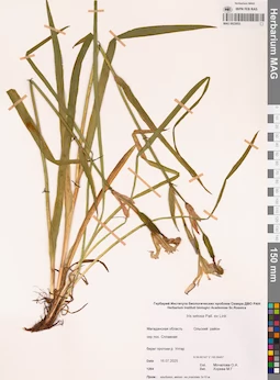 MAG 0023053