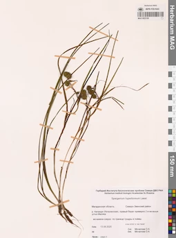 MAG 0023158
