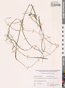 MAG 0023192