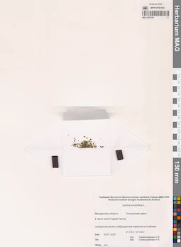 MAG 0023194