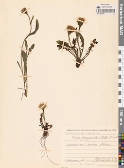 MAG 0023436