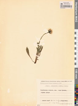 MAG 0023443