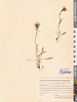 MAG 0023458